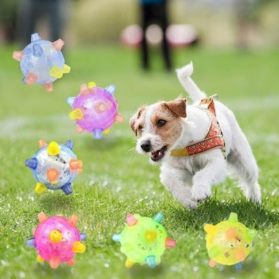 Pet supplies