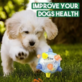 Jumping activation ball for dogs and cats